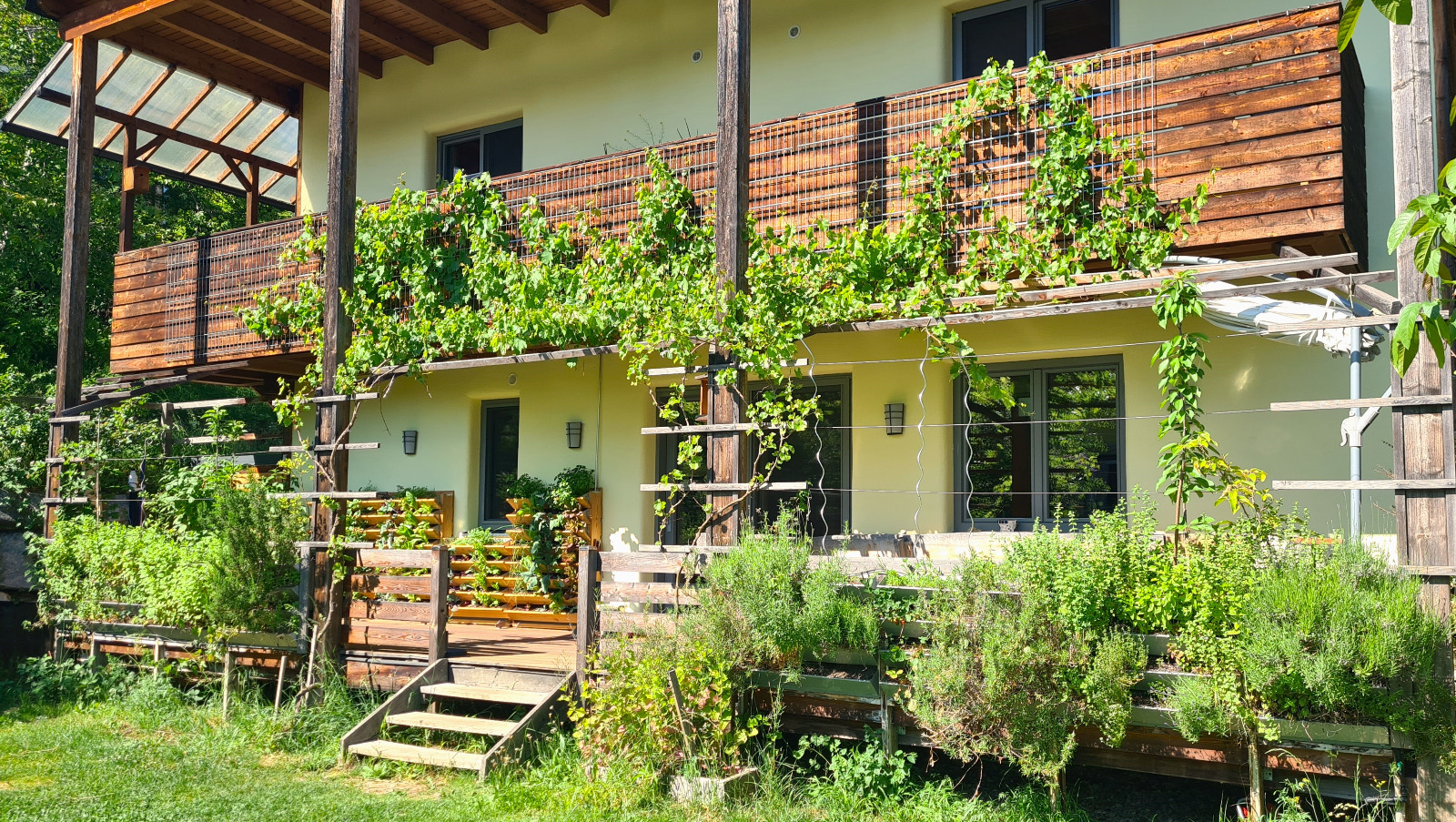 Garten 3 – Pflanzenkläranlage